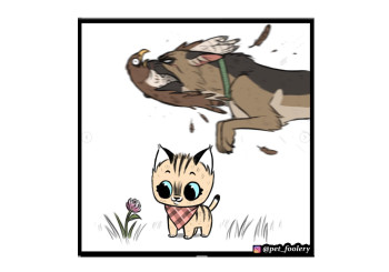blog_panel